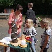 IMG_3631.jpg