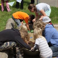 IMG_3674.jpg