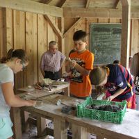 IMG_3721.jpg
