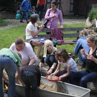 IMG_3731.jpg